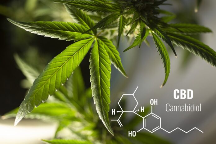 Cannabinoids-offer-new-hope-for-safe-and-effective-pain-relief.jpg
