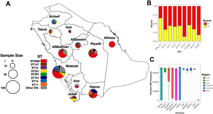 Deadly-bacteria-behave-differently-in-Saudi-Arabia-compared-with-rest.jpg