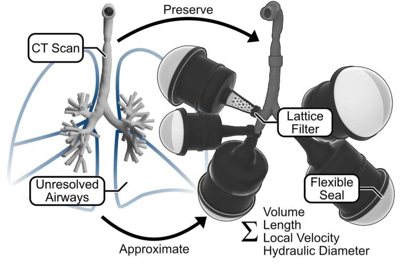 3D lung model raises the bar for research