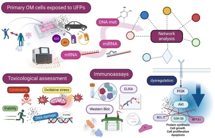 Traffic-related-ultrafine-particles-found-to-influence-gene-regulation-in-olfactory.jpg