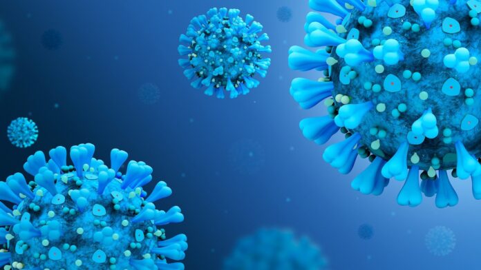 T-bet-protein-found-essential-for-maintaining-flu-fighting-memory-B-cells.jpg
