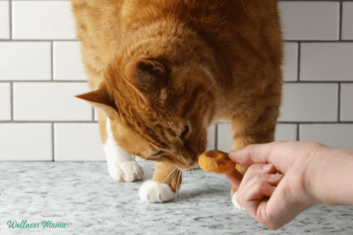 Soft-Homemade-Cat-Treats-Recipe.png