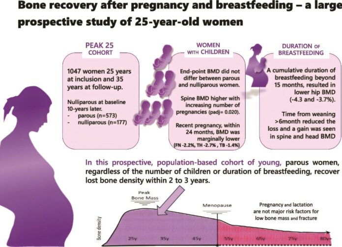 Breastfeedings-impact-on-bone-density-could-boost-development-of-osteoporosis.jpg