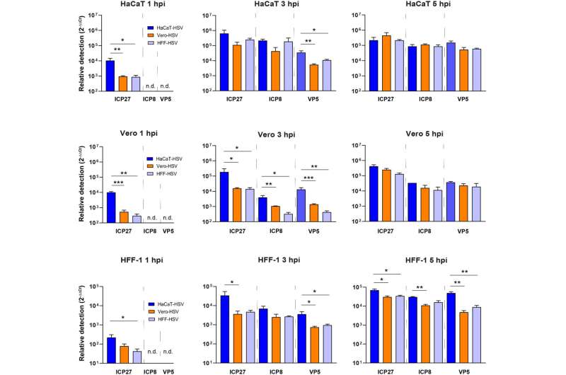 Producer cell-dependent effects on HSV-1 gene expression. HaCaT, Vero, and HFF-1 cells were infected with HSV-1 McKrae derived from HaCaT, Vero, or HFF-1 cells at an MOI of 10. Infected cells were harvested at 1, 3, and 5 hpi for RT-qPCR of ICP27, ICP8, and VP5 transcripts. Relative quantification of RNA was performed using the ΔΔCt method. 28S rRNA was used as an endogenous control. qRT-PCR data are representative of three biological replicates with error bars representing SEM. n.d. means no detection. * indicates P < 0.05, ** indicates P < 0.01, *** indicates P < 0.001 using one-way ANOVA with Tukey’s multiple comparisons test. Credit: Journal of Virology (2025). DOI: 10.1128/jvi.00829-25 In new research, Montana State scientists explore how viruses replicate and infect