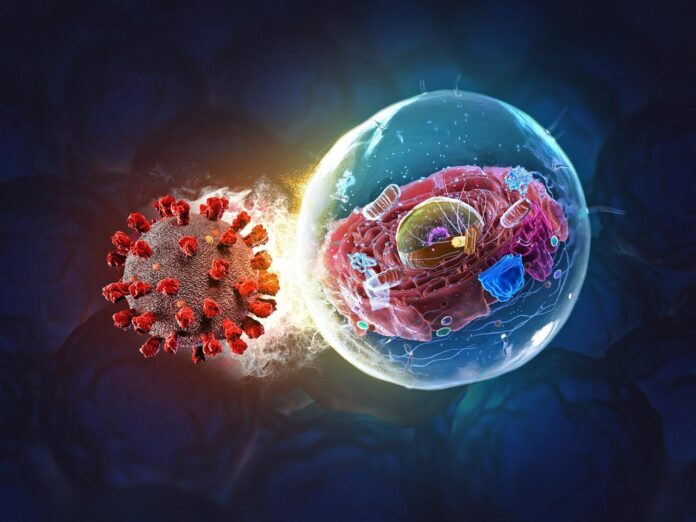 Scientists-identify-two-key-targets-of-common-cold-virus.jpg